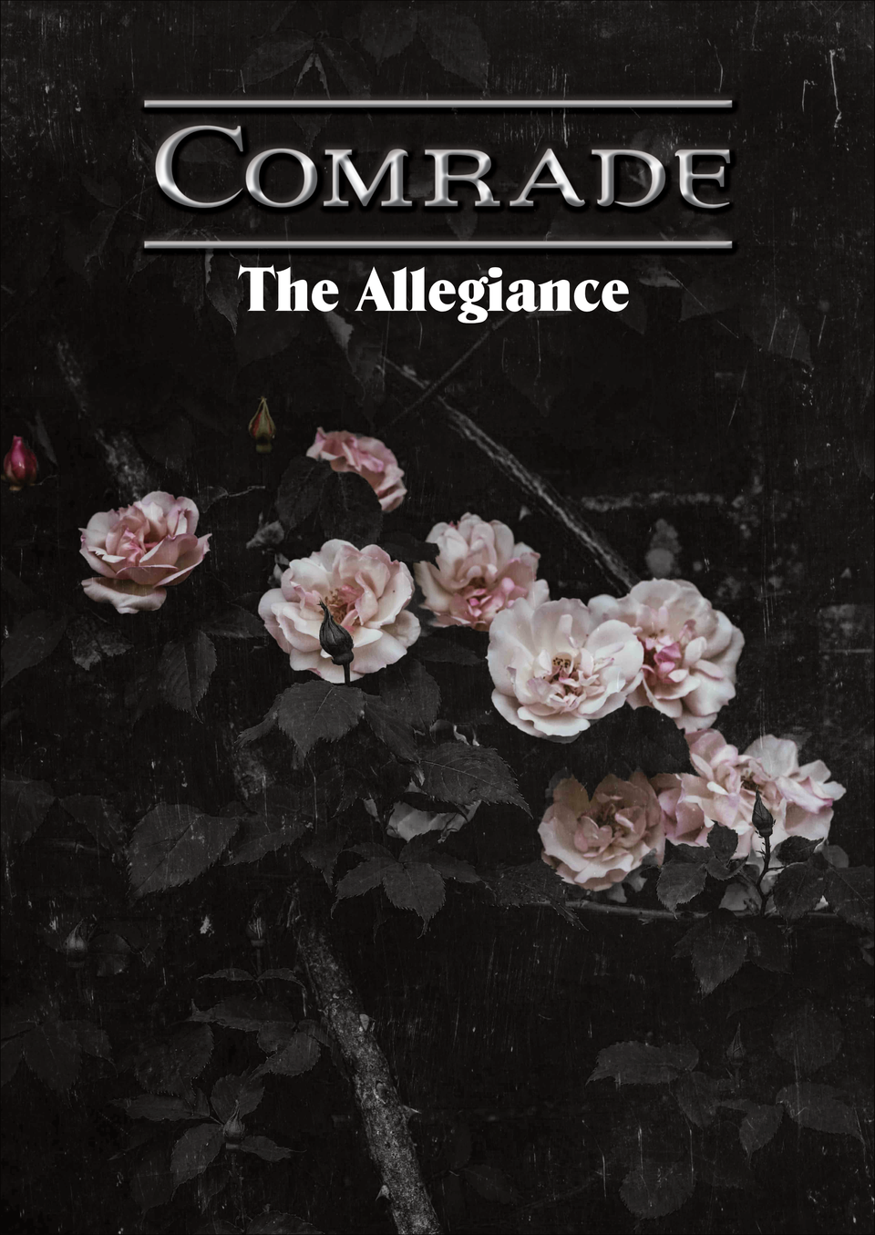 Comrade: The Allegiance cover image. The title over a black and white image of roses growing along a brick wall.