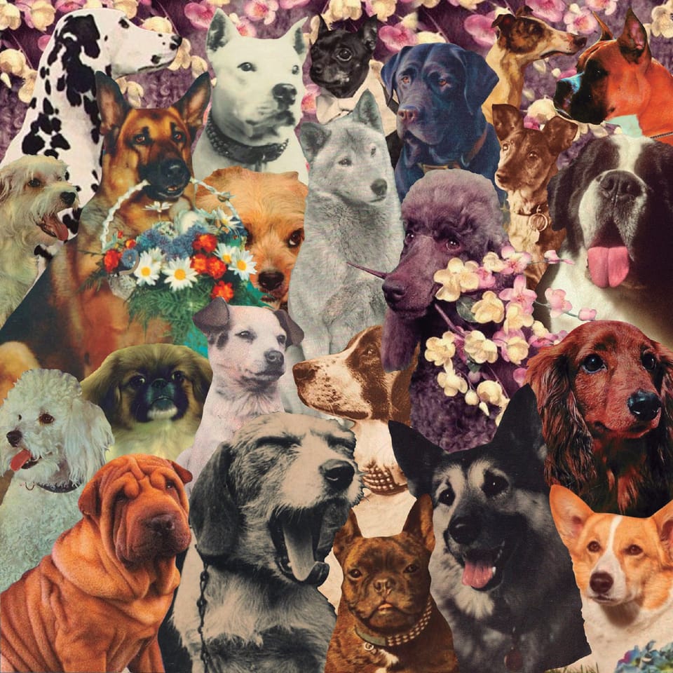 What's Good (Week of 3/30/25)